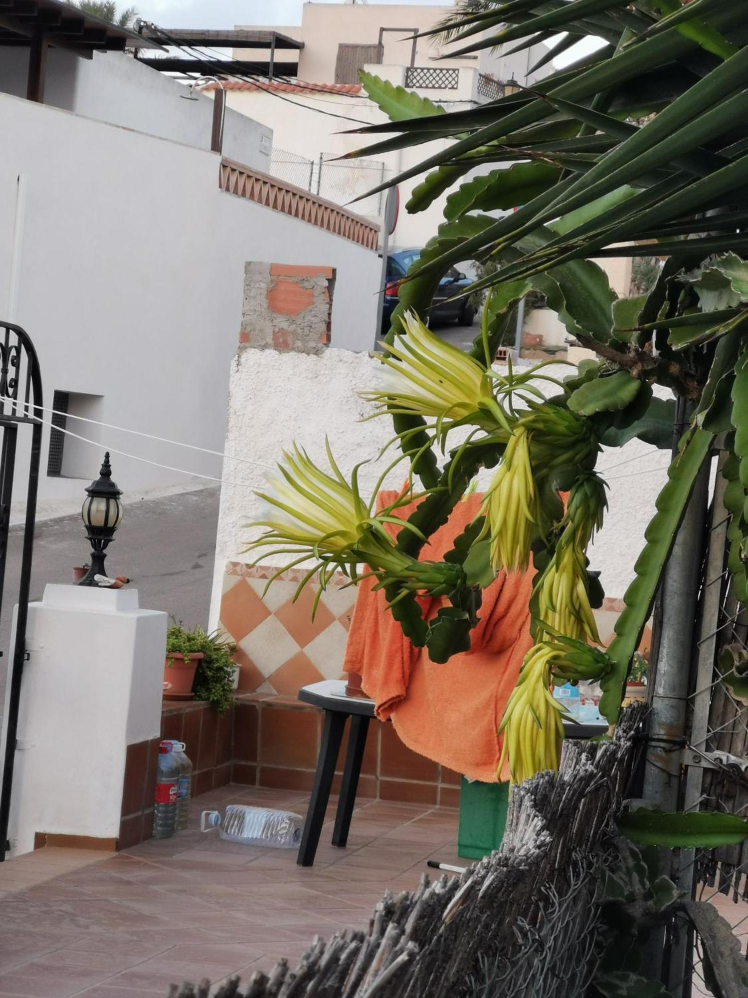 Appartamento Vivienda Rural En Cabo De Gata El Pozo de los Frailes Esterno foto